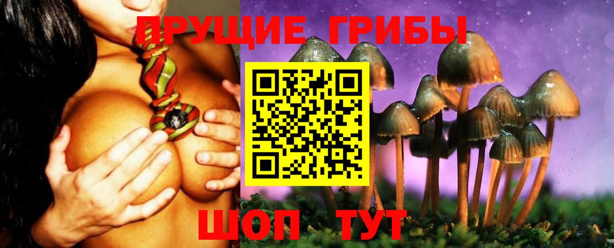 Нововоронеж  Галлюциногенные грибы Psilocybe  Вход с VPN  Галлюциногенные грибы Magic Shrooms 