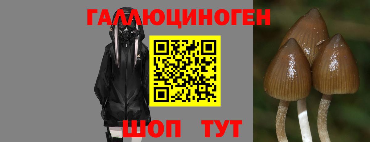 Галлюциногенные грибы Magic Shrooms Нововоронеж